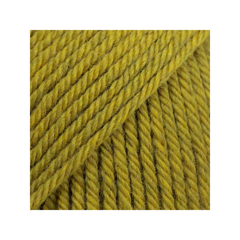 DAISY MIX 31 HUILE D'OLIVE